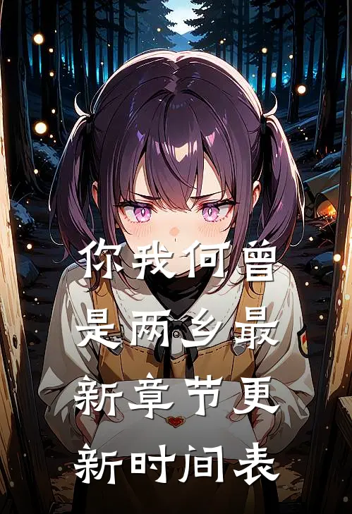 你我何曾是两乡最新章节更新时间表