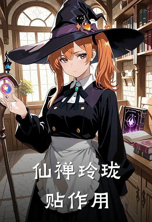 仙禅玲珑贴作用