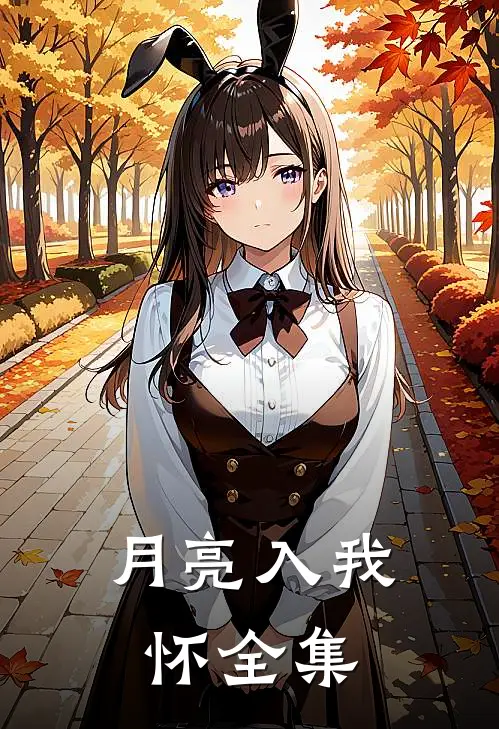 月亮入我怀全集